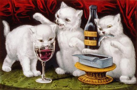 cats_wine